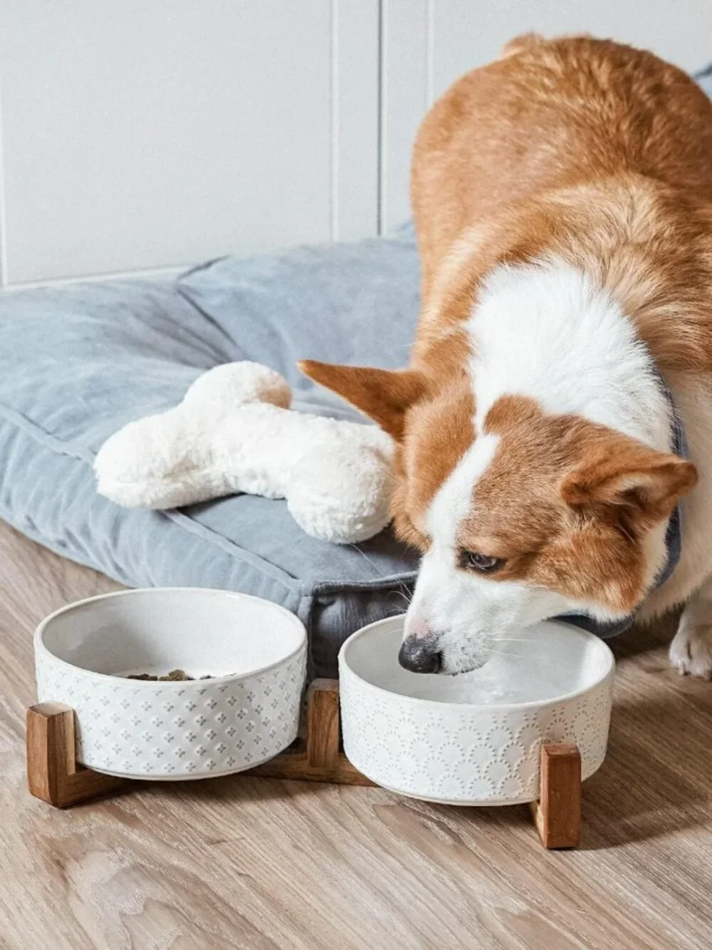 Stylish Dog Bowl Set with Acacia Wood Stand - 1.8-Cup Ceramic Bowls for Small